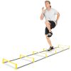 Raised Agility Ladder, 6 rungs