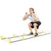 Raised Agility Ladder, 6 rungs