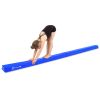 Gymnastics Beam