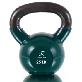 Vinyl Coated Iron Kettlebell (Option: 25lb)
